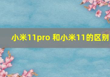 小米11pro 和小米11的区别